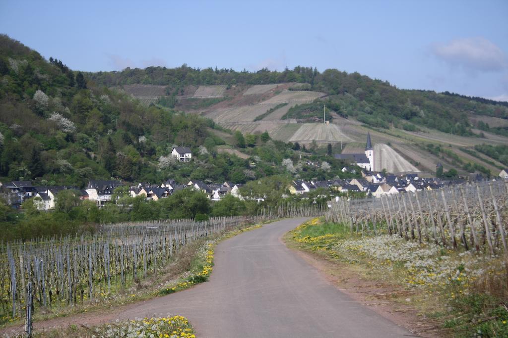 Weingut Goeres Briedel Exterior foto